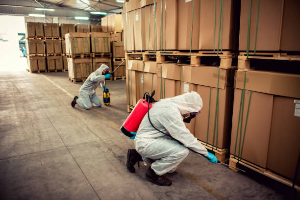 Best Pest Removal Services  in Newton, IL