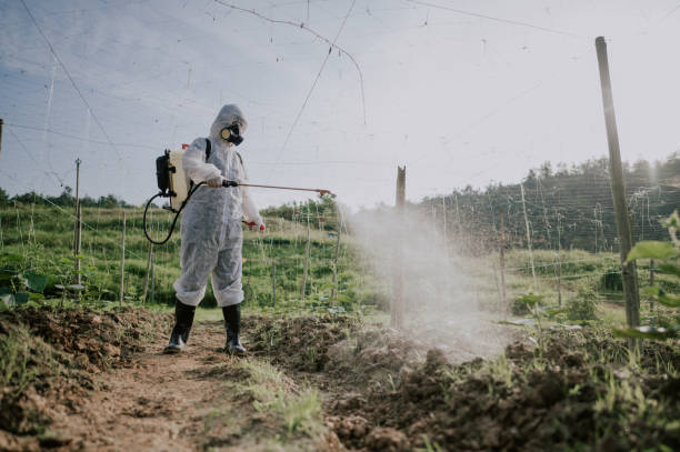 Best Commercial Pest Control Services  in Newton, IL