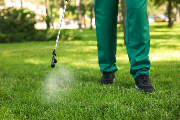 Best Rat Extermination Near Me  in Newton, IL