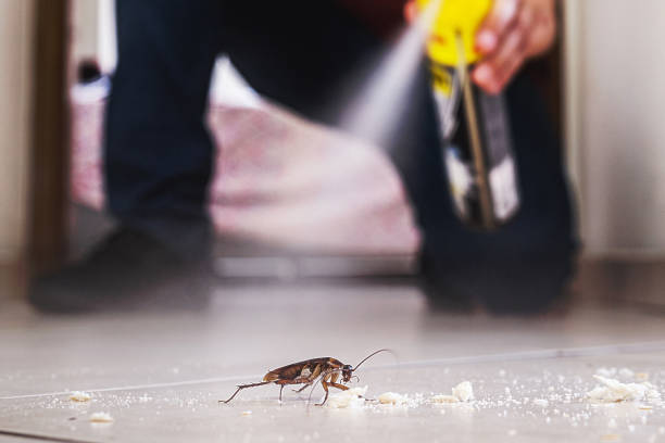 Best Rodent Control Near Me  in Newton, IL
