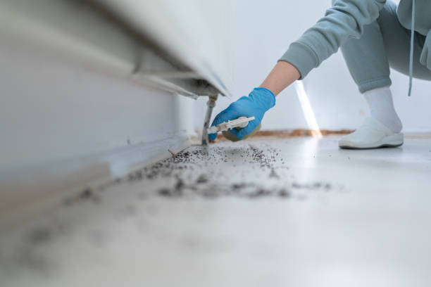 Best Mosquito Control Services  in Newton, IL